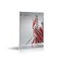 AutoCAD LT 2014 for PC AutoCAD LT 2014 for PC