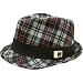 Whiskey Militia Hobbs Fedora Hat photo