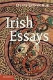 Irish essays