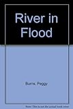 River in flood