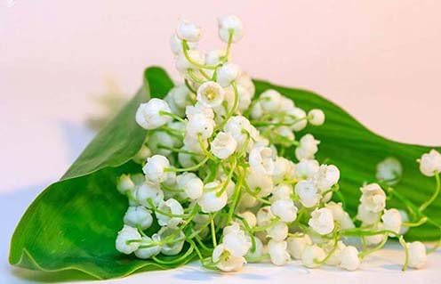 Jigsaw 1000 pieces Puzzle - Lilys Of The Valley Flowers Bells Spring White Lie by Lisa Loft