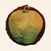 La Manzana Numero Dos by Josep Maria Codina. ART PRINT Canvas Rolled.. 12.00 inches width by 12.00 inches height. Highest Quality Art Poster Print
