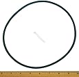 Hayward NorthStar Pump Lid Cover Gasket O-Ring CX400G