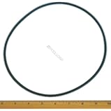 Hayward NorthStar Pump Lid Cover Gasket O-Ring CX400G