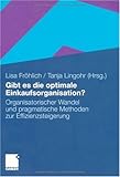 Gibt es die optimale Einkaufsorganisation?: Organisatorischer Wandel und pragmatische Methoden zur Effizienzsteigerung
