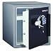 SentrySafe DA3930 1.2-Cubic Feet Fingerprint Electronic/Tubular Key Fire Safe, 138-Pound, Charcoal
