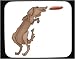 Mouse Pad with mammal, dog, toy, catching, pet, animal, canine