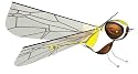 WowWee Flytech 27MHz Hornet- Yellow