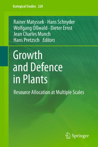 Growth and Defence in Plants: Resource Allocation at Multiple Scales: 220 (Ecological Studies) On Sale