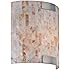 Lite Source LS-16381 Schale Wall Sconce Lite, White with Shell Shade