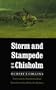 Storm and Stampede on the Chisholm