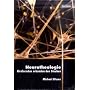 Neurotheologie - Hirnforscher erkunden den Glauben