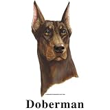 Doberman Pinscher (Red) Cordial - Shot Glass