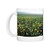 Photo Mugs of Meadow Flowers - Cornfield weeds, Cornflowers (Centaurea cyanus), Poppies from Ardea Wildlife Pets