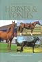 A Pocket Guide To Horses and Ponies