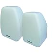 BIC AMERICA ADATTO DV52SIW Adatto Indoor/Outdoor Speakers (White)