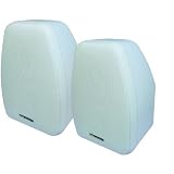 BIC AMERICA ADATTO DV52SIW Adatto Indoor/Outdoor Speakers (White)
