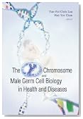 The Y Chromosome and Male Germ Cell Biology in Health and Diseases