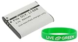 Young Micro LI-50B 925mAh Li-Ion Battery Compatible with Olympus Stylus 1030SW Digital Camera Silver
