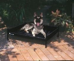 Petmate Durabed  Elevated Pet Bed Extra-Large, Black