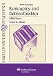 Bankruptcy and Debtor/Creditor Examples and Explanations, 5th Edition (Examples & Explanations)