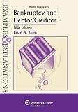 Bankruptcy and Debtor/Creditor Examples and Explanations, 5th Edition (Examples & Explanations)