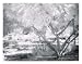 Japanese Garden by Dennis Dunton. Size 18.60 inches width by 14.58 inches height. Hig...