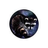 Raccoon Rubber Round Coaster (4 pack)