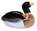 Plush Toy, Davey the Duck