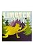 Limbeck-Limbeck Self-Titled Colored Vinyl LP
