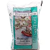 MIX BONSAI LIFELINK 4QT