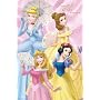 Disney (Fairytale Princesses) Art Poster Print - 24" X 36"