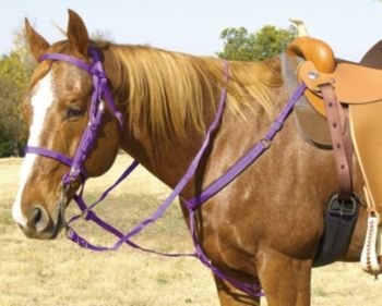 Western Poly Tack Set Lime Green