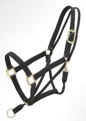 Tough-1 Eagle Equine Pull-Back Halter
