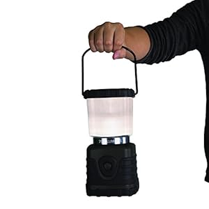 Stansport Cree LED Lantern, 700 Lumen