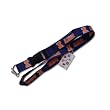 Illinois Illini Clip Lanyard Keychain Id Ticket Holder