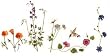 Wildflowers - Fresh, Original Design on a Pure Cotton Kitchen Towel
