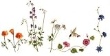 Wildflowers - Fresh, Original Design on a Pure Cotton Kitchen Towel Wildflowers - Fresh, Original Design on a Pure Cotton Kitchen Towel