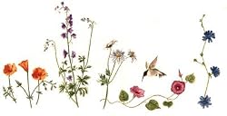 Wildflowers - Fresh, Original Design on a Pure Cotton Kitchen Towel