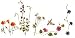 Wildflowers - Fresh, Original Design on a Pure Cotton Kitchen Towel