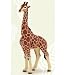 Papo - 50149 - Figurine - Girafe Mâle