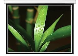 Elitech 100" Electric Motorized Projector Projection Screen 4:3 Video Format with Remote Control