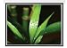 Elitech 100" Electric Motorized Projector Projection Screen 4:3 Video Format with Remote Control