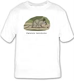 T-shirt with africa, shrew, mouse, animal, rodent, elephantulus
