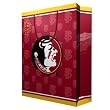 Florida State Seminoles NCAA Large Gift Bag (15.5 Tall)"