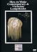 Dinah Hubert: How to Make Contemporary & Victorian Lampshades