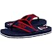 Minnesota Twins Royal Blue-Red Contoured Flip Flops