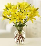 Same Day Flower Delivery Lilies Arranged in a Vase for Sympathy