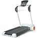 Sporting Goods : Reebok i-Run Music Treadmill