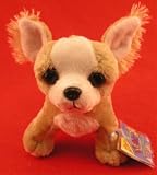 Chihuahua Lil Kinz